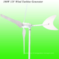 100W Wind Generator, Wind Hybrid Controller pour Gardon Light